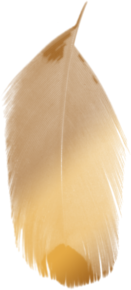 Plume